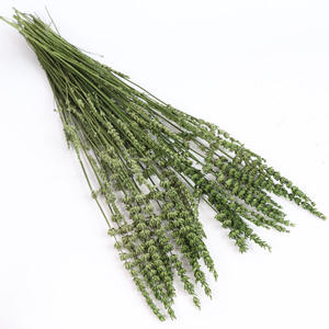 Venta caliente Flores secas reales <span class=keywords><strong>Lavanda</strong></span> <span class=keywords><strong>preservada</strong></span> Flor seca natural <span class=keywords><strong>lavanda</strong></span> para la decoración del hogar del baño - Product Image 6
