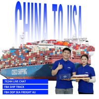 Agent d'expédition DDP entre l'entrepôt Amazon FBA 3PL en Chine et l'Australie, fret maritime, livraison porte-à-porte, marchandises non sensibles, dédouanement