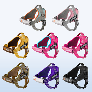 Sadel gaya tidak ada tarik Oxford, kekang anjing dan Set tali reflektif bisa disesuaikan, rompi Harness hewan peliharaan nama pribadi - Product Image 4