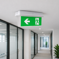 Signalisation lumineuse d'issue d'urgence 2W avec batterie rechargeable, autonomie de 3 heures, étanche IP65, boîtier en PC, utilisation intérieure/extérieure