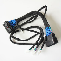 Kabel Kontrol Perakitan Kabel Harness Mobil Elektronik Shanyou yang Dapat Disesuaikan, Adaptor Konduktor Aluminium, Isolasi Nilon, 100mm, 12V
