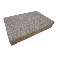 Panneaux muraux extérieurs, revêtements de façade, panneaux sandwich EPS XPS, panneaux en polystyrène extrudé, panneaux de décoration, isolation thermique