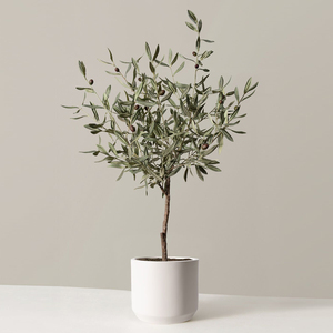 Albero di Ulivo Artificiale Ecologico con Vaso 70cm-140cm per Decorazione Casa Materiale Plastico per Soggiorno - Product Image 1