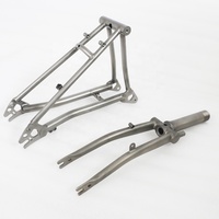 Fourche avant et triangle arrière en titane avec frein C pour vélo, moyeux C-Line 74x112mm