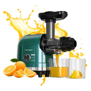 Exprimidor Lento de Presión en Frío Horizontal de Alto Rendimiento (99%), Máquina Extractora de Jugos Frescos Portátil - Product Image 1