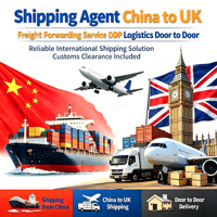 Servicios de Logística de Agente de Carga DDP Puerta a Puerta, Precio Accesible, Transporte Aéreo de China a Reino Unido, Aeropuerto de Londres Luton, DHL, UPS, AMZ, FBA
