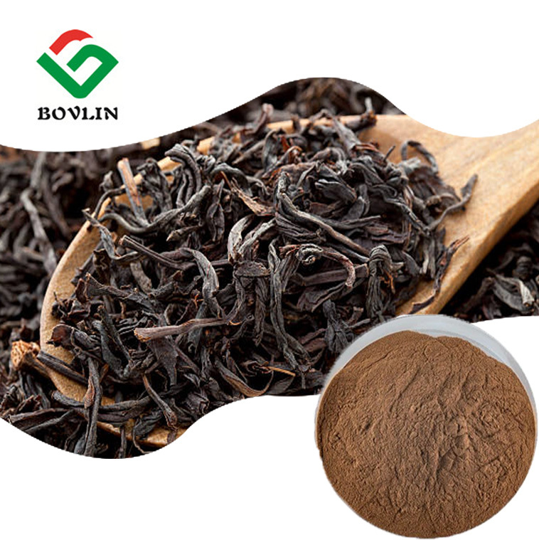 High Quality Instant Black Tea Extract