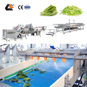 Machine à laver la laitue romaine et les épinards en acier inoxydable 304, coupe-salade, machine d'emballage de salades, ligne de blanchiment et de congélation des épinards - Product Image 4