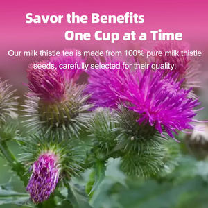 OEM ODM Ready to Ship Milk Thistle Tea Bags Natural Silymarin Herbal Blend Supports <b>Liver</b> Health Wellness - Product Image 5