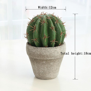 หม้อทรงกระบองเพชรผ้าไหมเทียม,การส่งออกสำหรับ Euphorbia Macetas - Product Image 2