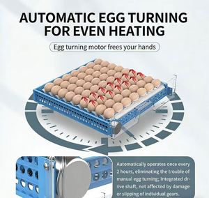 Home-use Mini Fully Automated Smart Incubator for <b>Eggs</b>, Hatching Machine for Chicks, Ducks, Geese, and Birds - Product Image 5
