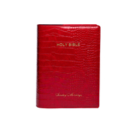 Housse de protection pour livre en similicuir, étanche, pour Bible, carnet ou agenda