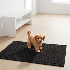 Paillasson robuste absorbant la saleté, résistant à la boue, antidérapant, avec support en caoutchouc naturel, profil bas, pour entrée extérieure et intérieure - Product Image 1