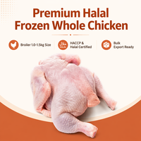 Pollo Entero Congelado Halal al por Mayor, Pollo de Engorde Premium para Exportación, Proveedor de Aves de Corral IQF, Precio de Fábrica