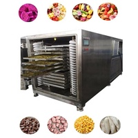 50Kg 5m2 Kleinschalige Thuis Commerciële Vacuüm Voedsel Spray Vriesdroger Groente Fruit Lyofilisator Machine Voor Snoep Snoep