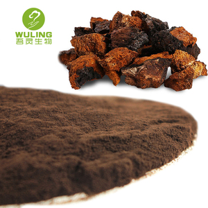Siberiana salvaje Chaga Extracto de 30%-50% polisacáridos - Product Image 3