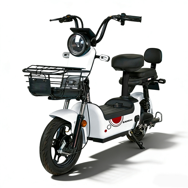 China 350W/500W Electric Bike for Adults 48V Lead Acid Battery Two Seat City Ebike Scooter with Pedal