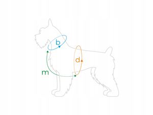 Amiplay Harnais Réglable Garde Populaire M Noir - Product Image 3