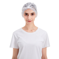 Topi Medis Elastis Ganda Hubei Haixin, Jaring Rambut Sekali Pakai untuk Perawat, Topi Bedah Dokter, Topi Bouffant Sekali Pakai Grosir