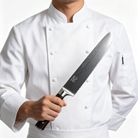 Couteau à gâteau TC, couteaux à fruits, couteau japonais, vente en gros de couteaux de cuisine, ensemble de couteaux professionnels pour chefs, couteau à viande pour boucher en fer