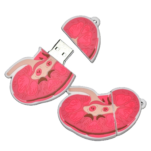4GB Kidney Shape USB Flash Drive USB 2.0 Interface in Stock for Medical Promotional Gifts Kidney Shape as Medicall