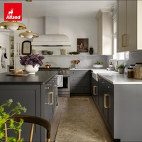 Conception de projet de villa bicolore Alland : Idées de cuisines modernes avec armoires en laque grise style Shaker, fabriquées en Chine pour petites cuisines