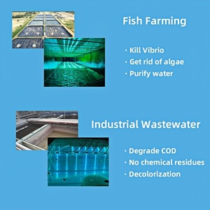 Lámpara UV Sumergible de 20W para <span class=keywords><strong>Acuario</strong></span>, 254nm, Utilizada para Esterilización de Agua - Product Image 4