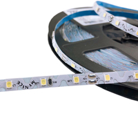 LED 54/M V Bentuk 12V SMD 2835 Putih Lampu LED Strip