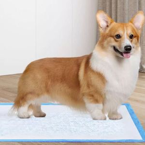 Tapis d'entraînement jetables doux et hypoallergéniques pour chiots et chats, anti-fuites - Product Image 2