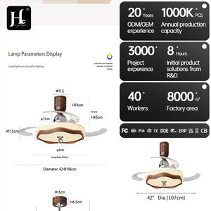 220V Remote Control LED <b>Ceiling</b> <b>Fans</b> Light with <b>for</b> Bluetooth Dining & <b>Bedroom</b> Indoor Application Copper BLDC Motor New Design - Product Image 5