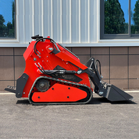 Mini-chargeuse sur chenilles de haute qualité, moteur diesel, pompe hydraulique, accessoires pour utilisation agricole - Haute performance
