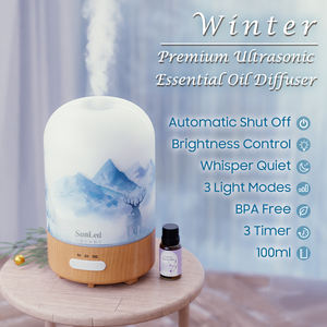 Humidificateur d'air portable mini ultrasonique décoratif unique / Brumiateur à vapeur froide et chaude - Product Image 2