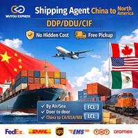 Agente de Carga de China a Estados Unidos y Canadá, Envío Puerta a Puerta DDP, Transporte Marítimo, Transporte Aéreo Express, Servicio de Logística de Amazon FBA