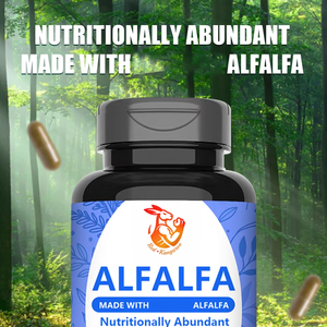 Complément alimentaire de luzerne OEM/ODM Well Body en capsules, vitamines et minéraux pour la santé digestive et le soutien immunitaire des adultes, marque privée - Product Image 4