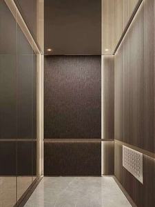 Ascenseur supérieur panoramique Offre Spéciale d'ascenseur à la maison de passager avec de haute qualité - Product Image 3