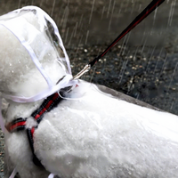 Petit imperméable transparent en PU pour chien, poncho pour promenades avec chien, toutes saisons, taille XL
