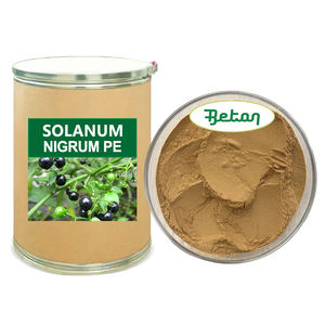 Заводская поставка, высококачественный натуральный экстракт Solanum Nigrum L, порошок, экстракт Черного паслена, порошок - Product Image 1