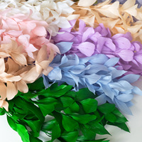 Bunga Ruscus Kering Alami Berkualitas Tinggi Harga Grosir 60-70cm untuk Hari Ibu, Thanksgiving, Valentine