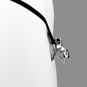 Jaula de Castidad Predator de Aleación Pulida Lisa, Jaula para Pene con Orificio para Orinar, Jaula de Restricción para Pene, Juguetes Sexuales al por Mayor - Product Image 1