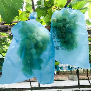 Custom Color 17gsm 25gsm 44gsm Insect Resistant Bird Resistant Breathable Waterproof Non Woven Fabric Fruit Cover