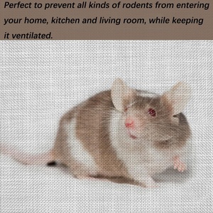 30 Mesh 304 Stainless Steel <strong>Plain</strong> <strong>Weave</strong> Anti-Rodent Grille Wire Cloth 30.5cm X 205cm Cutting Bending Aviary/Garden Mosquito <strong>Net</strong> - Product Image 6