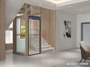 Giá tốt nhất 2 tầng Duy nhất gia đình nhà thang máy dân cư Xe Lăn CầU thang nâng - Product Image 5