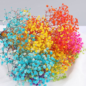 DREA-<span class=keywords><strong>ramo</strong></span> de flores secas para decoración de boda, venta al por mayor, venta al por mayor, 120G - Product Image 6