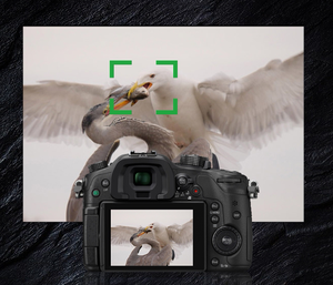 Hot Sales GH4 Body Black DMC-GH4-K Mirrorless 4K Video <b>Camera</b> Digital <b>Camera</b> - Product Image 6