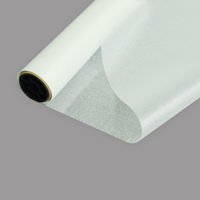 Film spécial Dtf à effet pailleté brillant 30cm 60cm 24 pouces Film Pet DTF pet 100m pour imprimante textile DTF