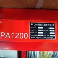Palans électriques à chaîne pour chantier, capacité 100/300/500/1000 kg, câble en acier PA, hauteur de levage 3-9 m, 1,5/3 kW, 220-230 V
