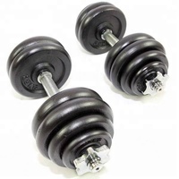 VIGFIT Équipement de musculation en gros pour salle de sport, haltères réglables 15-30 kg avec revêtement noir laqué