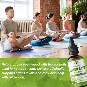 Extracto Líquido de Hoja de Balsamo de Limón Orgánico de Marca Privada OEM, Gotas para Calma, Estado de Ánimo y Relajación, Suplemento de Tintura de Balsamo de Limón - Product Image 3