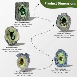 Aimant de réfrigérateur en résine à texture bois simulée, décoratif en forme de scarabée, fait main, cadeau sur le thème de la nature pour les passionnés d'insectes - Product Image 6