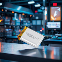 Haut-parleur numérique personnalisable 103040 à batterie lithium solide, pochette d'éducation précoce, meilleure marque, 500 cycles, pour consommateurs